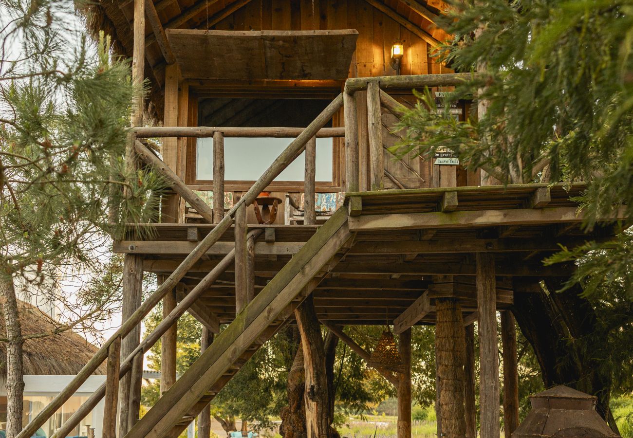 Villa in Comporta - A Comporta Tree House