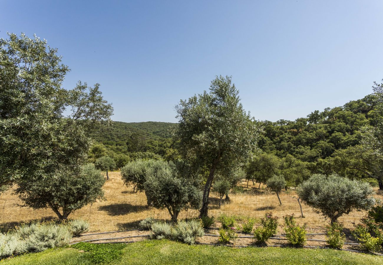 Villa in Grândola - Grandola Mountain Paradise