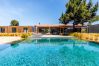 Villa in Carvalhal - Villa Amaya
