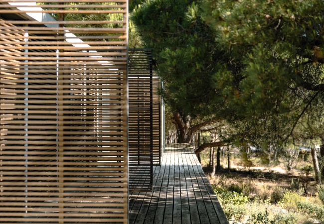 Villa in Carvalhal - Villa Katsu Villa in Carvalhal - Villa Katsu