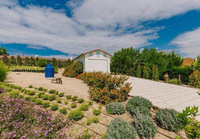 Villa in Carvalhal - Villa Bahamas Villa in Carvalhal - Villa Bahamas