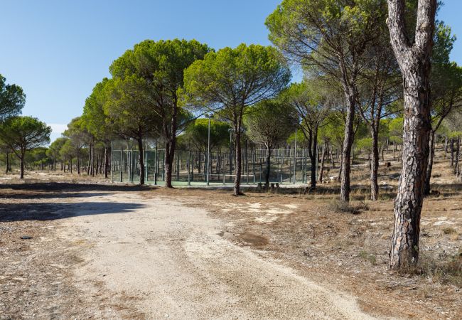 Villa in Grândola - Villa Kimchi Villa in Grândola - Villa Kimchi