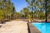 Villa in Carvalhal - Villa do Bosque Villa in Carvalhal - Villa do Bosque