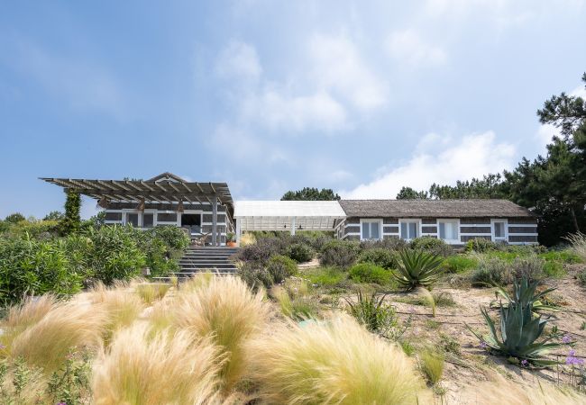 Villa in Comporta - Villa Albizia Villa in Comporta - Villa Albizia