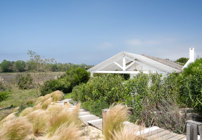 Villa in Comporta - Villa Albizia Villa in Comporta - Villa Albizia