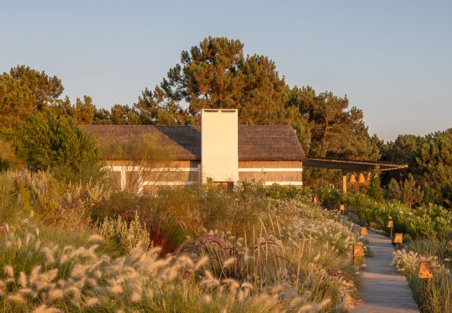 Villa in Comporta - Villa Albizia Villa in Comporta - Villa Albizia