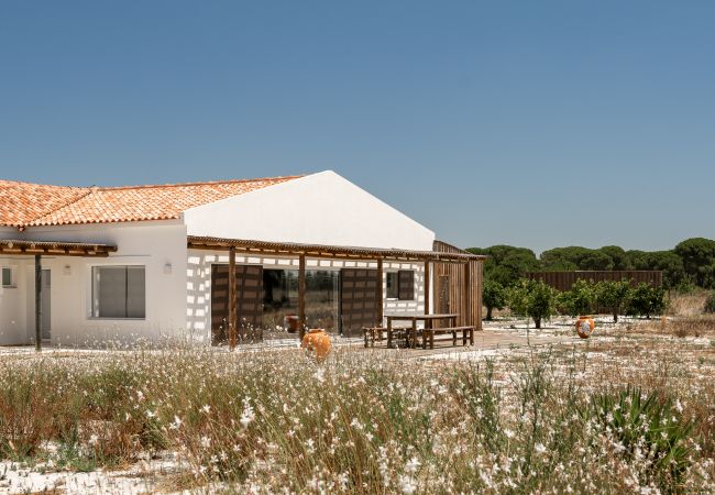 Villa in Comporta - Villa Nativa Villa in Comporta - Villa Nativa