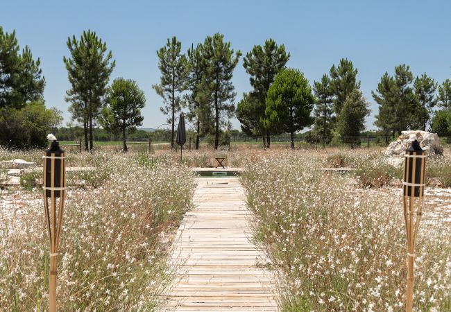 Villa in Comporta - Villa Nativa Villa in Comporta - Villa Nativa