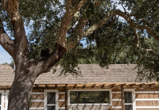 Villa in Melides - Villa Sobreiras Villa in Melides - Villa Sobreiras