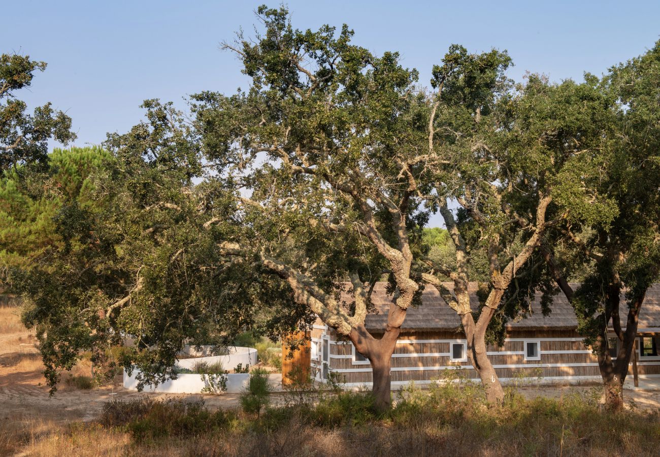 Villa in Melides - Villa Sobreiras