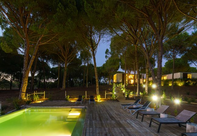 Villa in Comporta - Villa Camellia Villa in Comporta - Villa Camellia