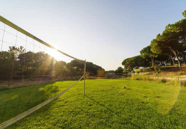 Villa in Comporta - Villa Camellia Villa in Comporta - Villa Camellia