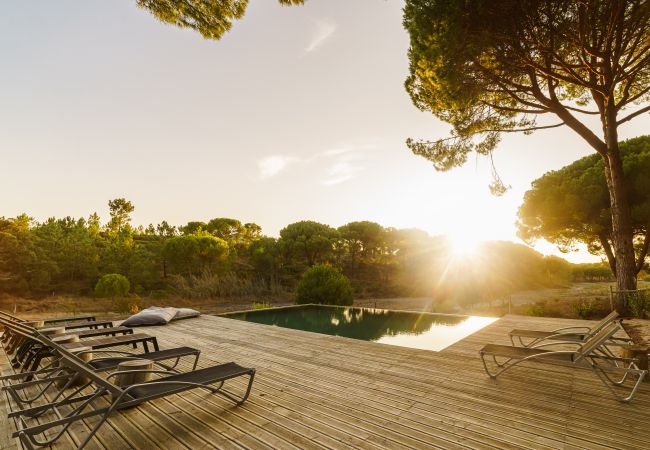 Villa in Comporta - Villa Camellia Villa in Comporta - Villa Camellia