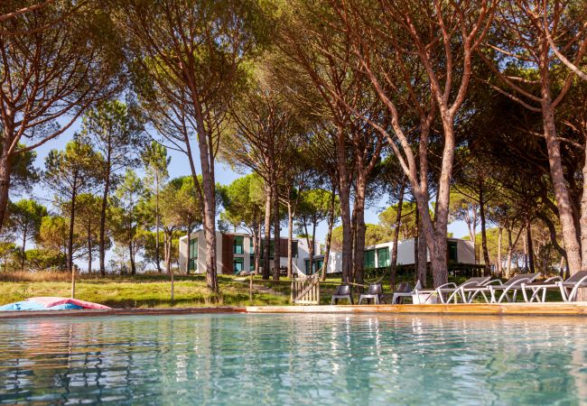 Villa in Comporta - Villa Camellia Villa in Comporta - Villa Camellia