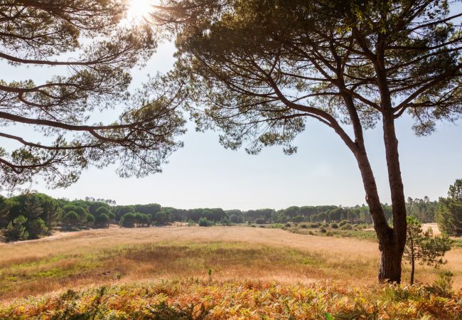 Villa in Comporta - Villa Camellia Villa in Comporta - Villa Camellia