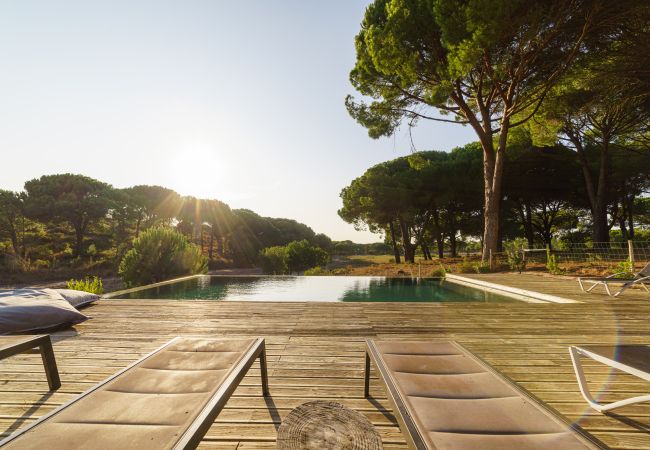 Villa in Comporta - Villa Camellia Villa in Comporta - Villa Camellia