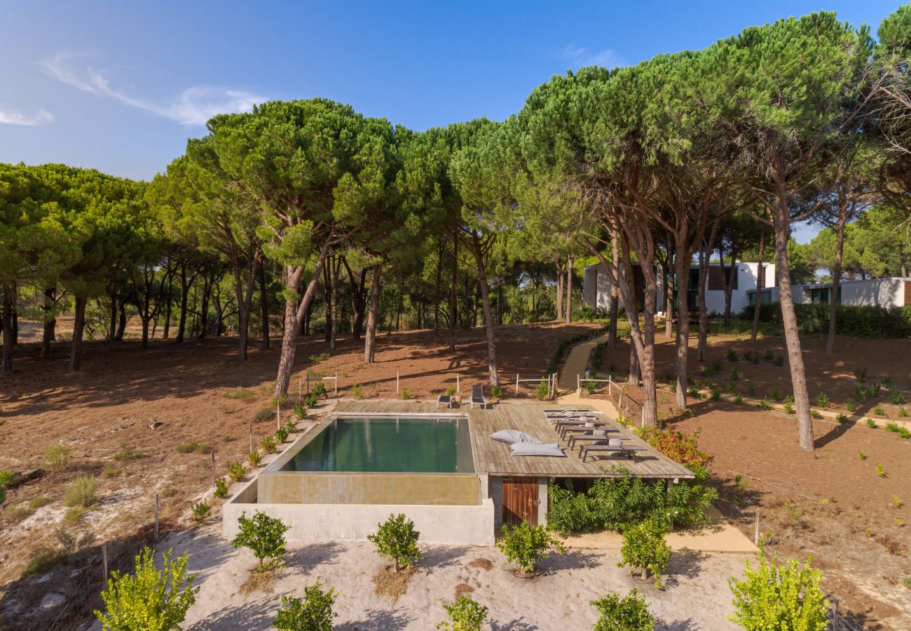 Villa in Comporta - Villa Camellia