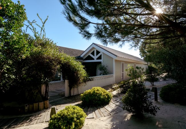 Villa in Carvalhal - Villa Marguerite Villa in Carvalhal - Villa Marguerite