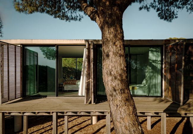 Villa in Carvalhal - Villa Kiyomi Villa in Carvalhal - Villa Kiyomi