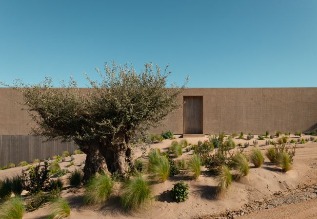 Villa in Grândola - Villa Lumi Villa in Grândola - Villa Lumi