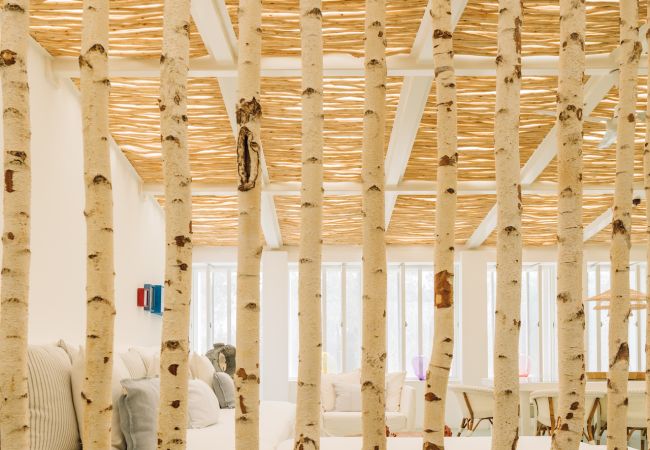 Villa in Carvalhal - Villa Duna Villa in Carvalhal - Villa Duna