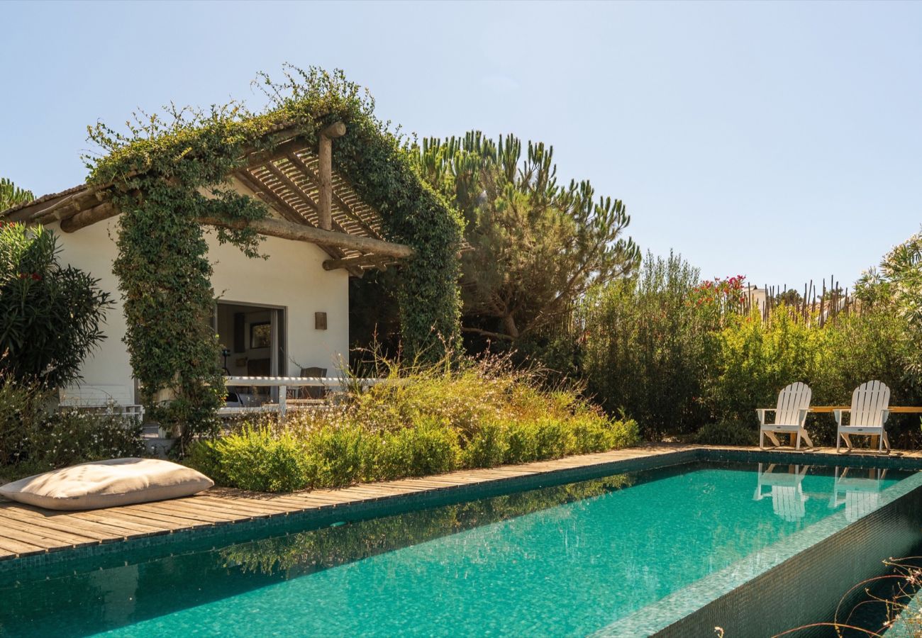 Villa in Carvalhal - Villa Ricefield