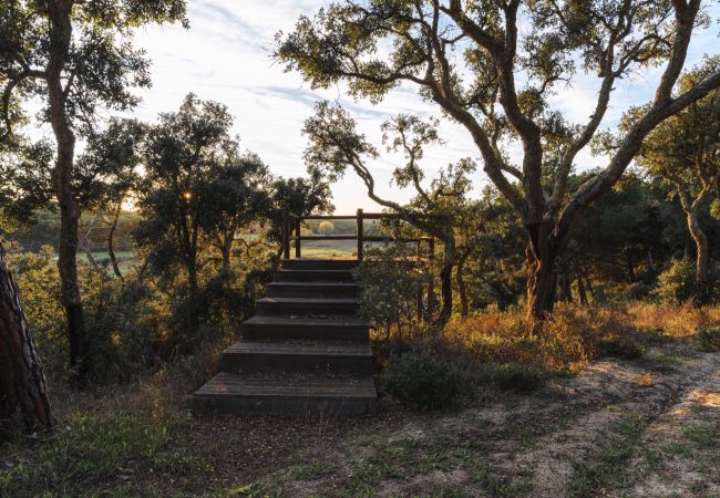 Villa in Carvalhal - Villa Mel Villa in Carvalhal - Villa Mel