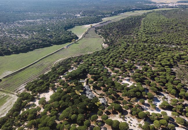 Villa in Carvalhal - Villa Mel Villa in Carvalhal - Villa Mel