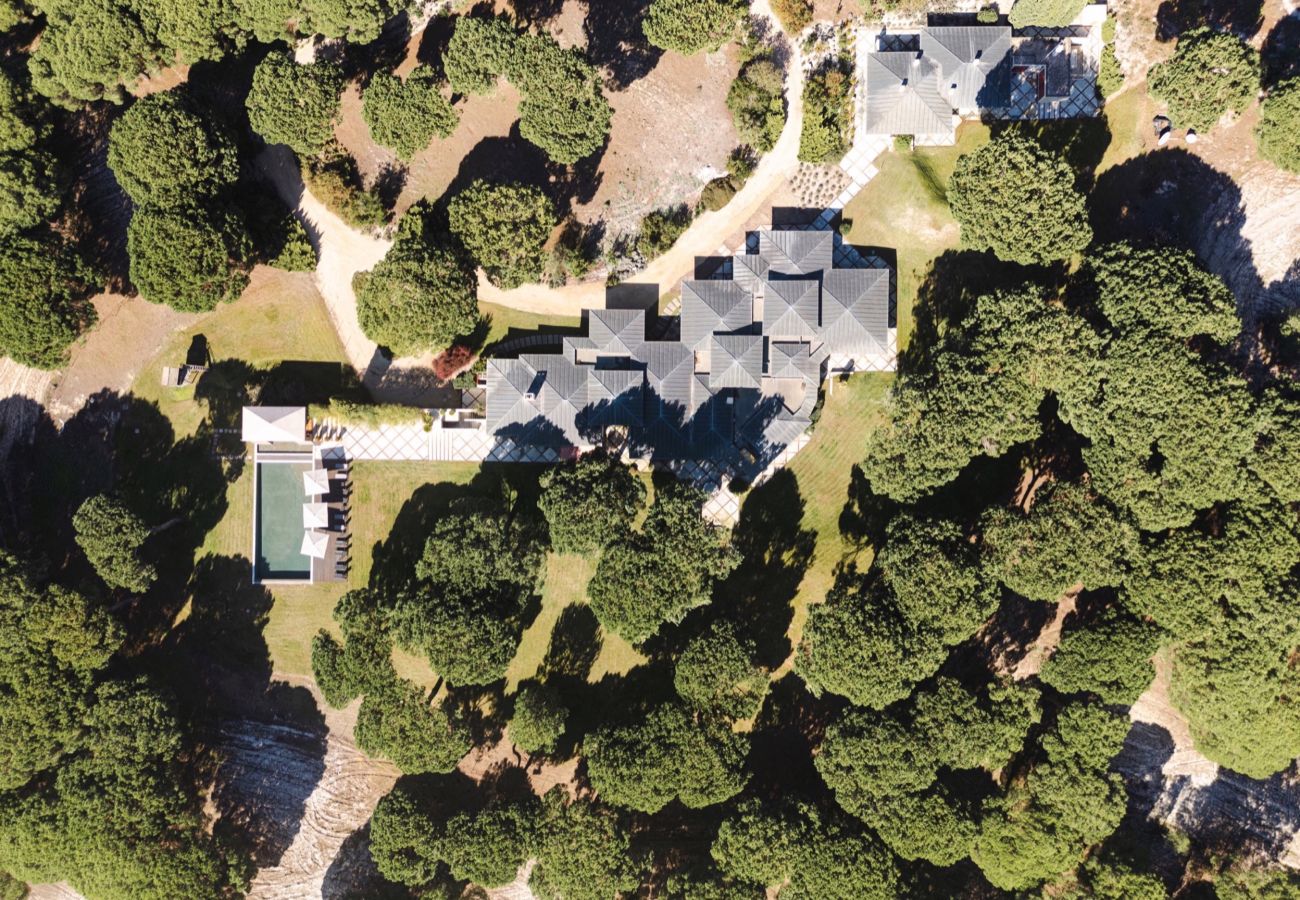 Villa in Carvalhal - Villa Mel