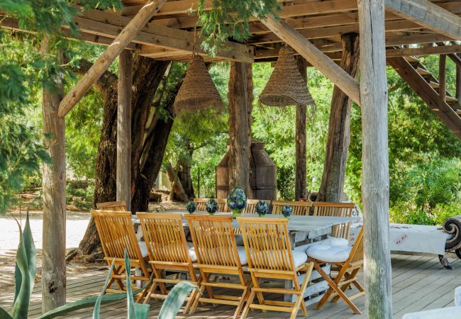 Villa in Comporta - Villa Cashew Villa in Comporta - Villa Cashew