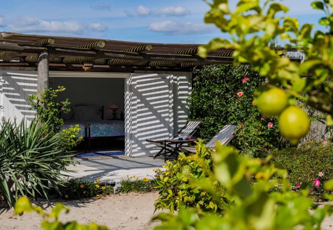 Villa in Comporta - Villa Cashew Villa in Comporta - Villa Cashew