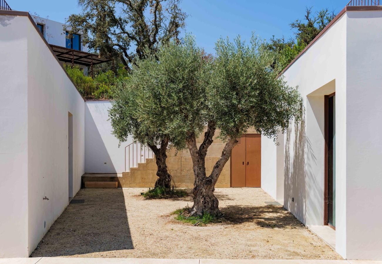 Villa in Grândola - Villa Quail