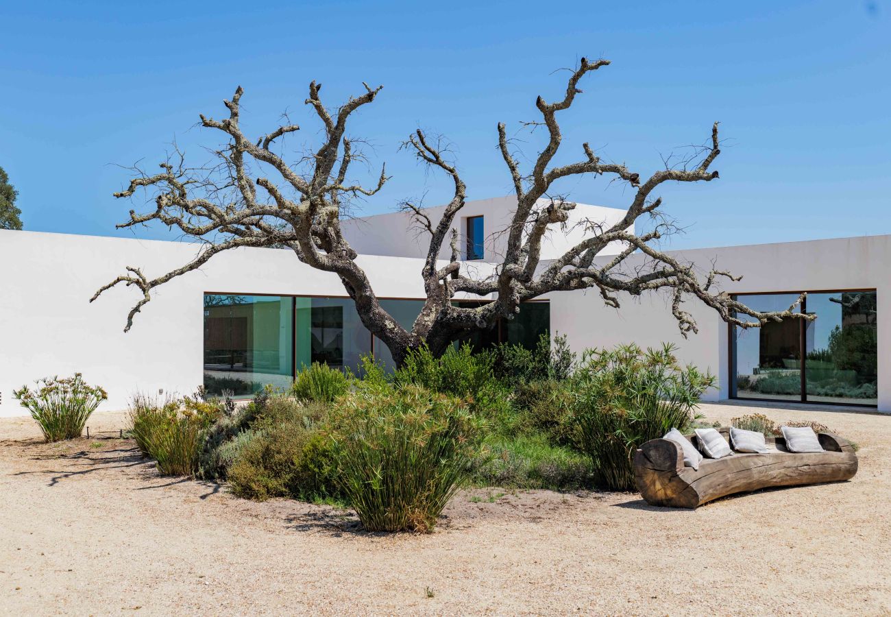 Villa in Grândola - Villa Quail