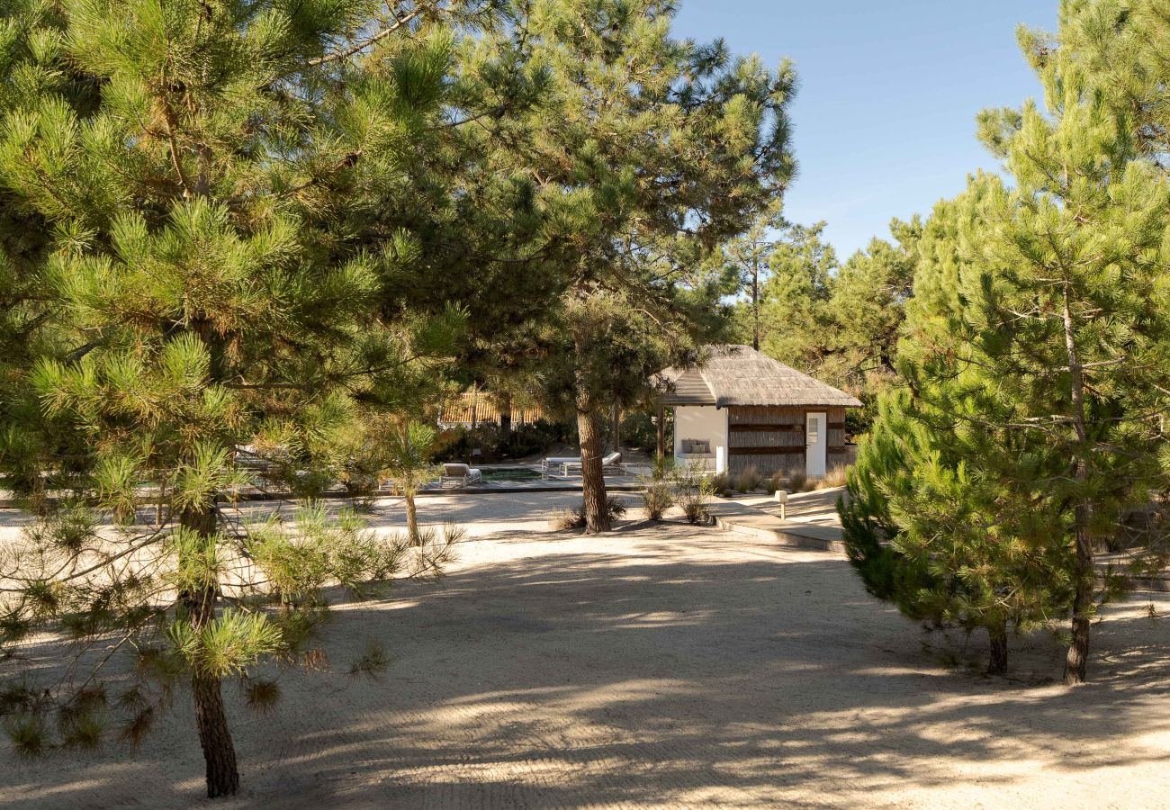 Villa in Carvalhal - Villa Lime