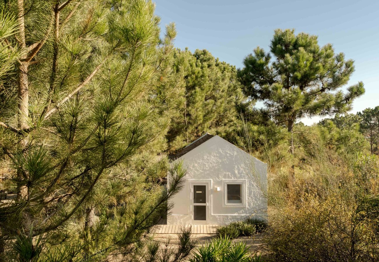 Villa in Carvalhal - Villa Lime