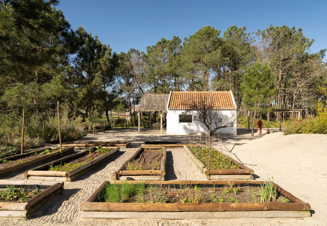 Villa in Carvalhal - Villa Lime