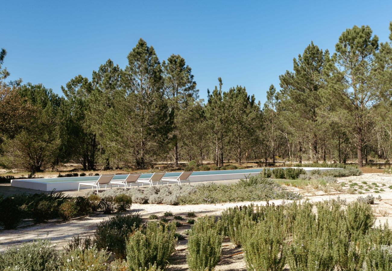 Villa in Carvalhal - Villa Raspberry