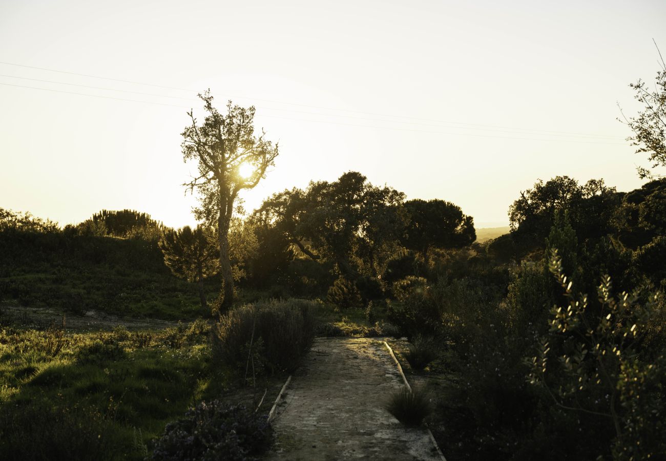 Villa in Melides - Villa Olive