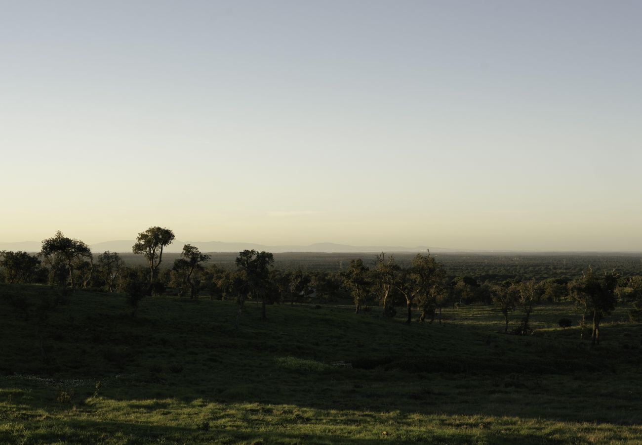 Villa in Melides - Villa Olive