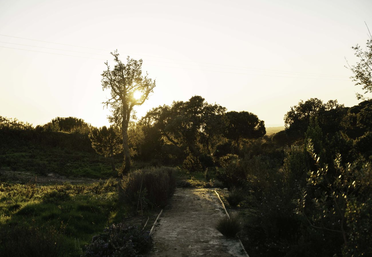 Villa in Melides - Villa Olive