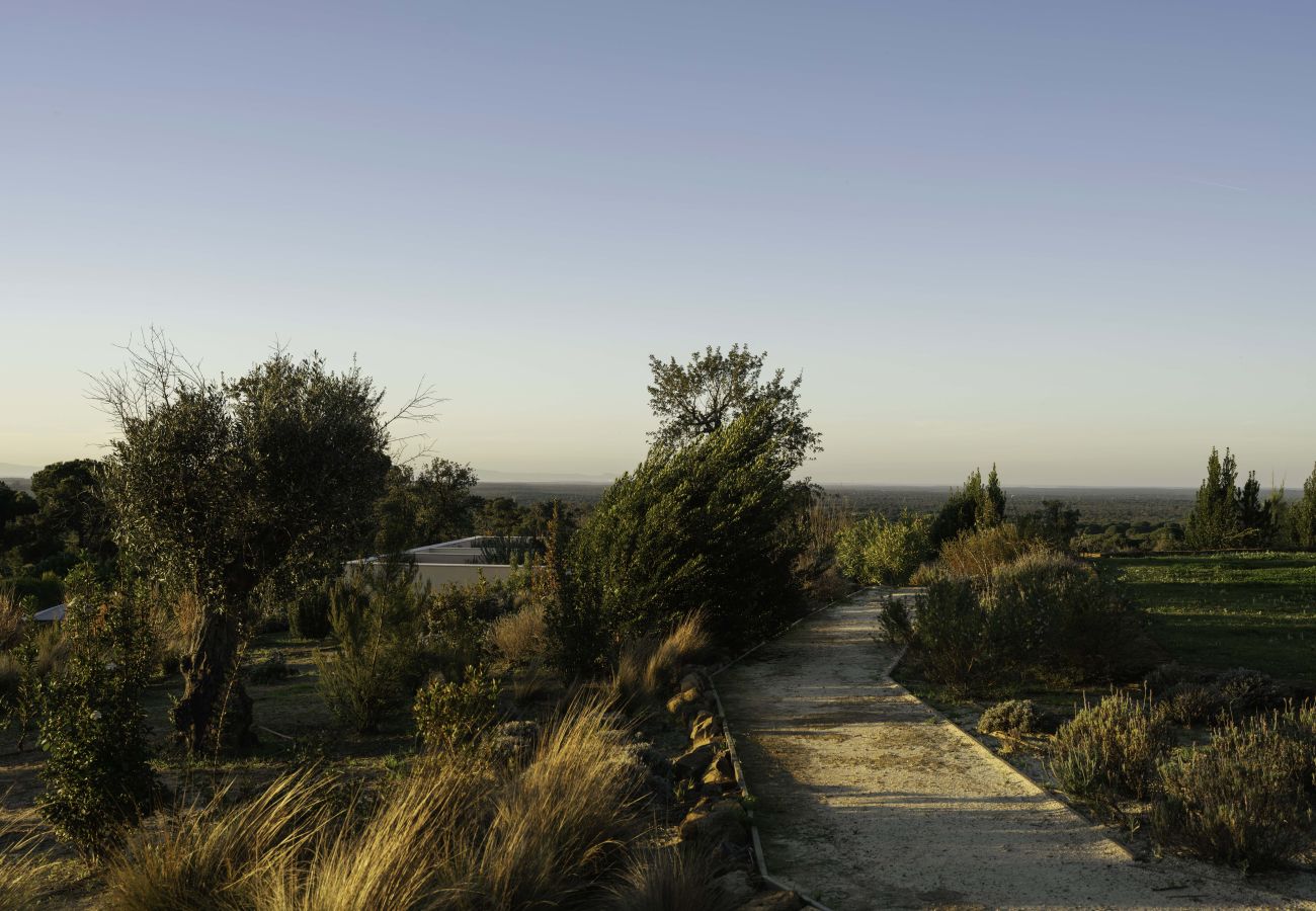 Villa in Melides - Villa Olive