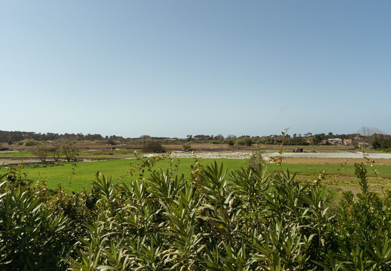 Villa in Carvalhal - Villa Magnolia