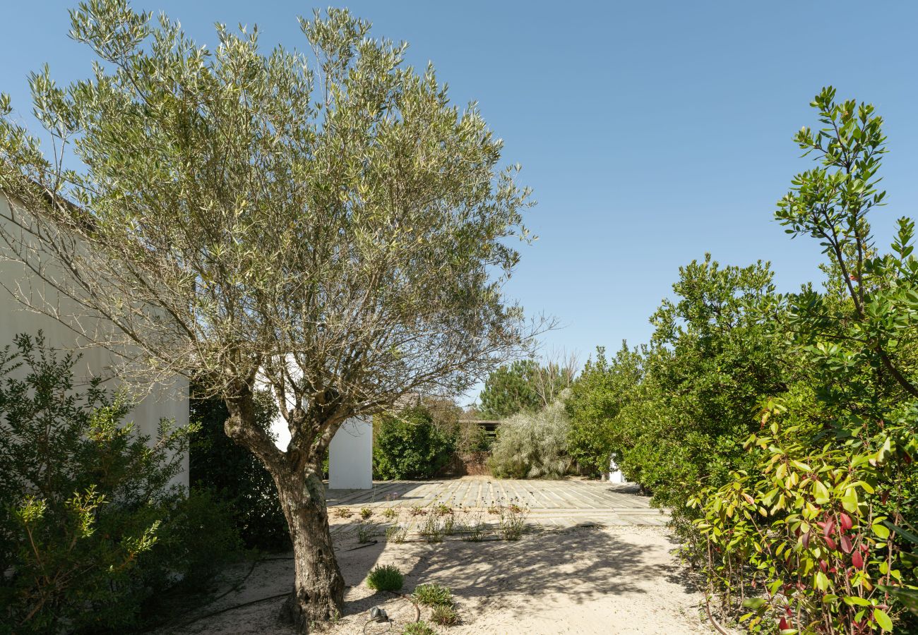 Villa in Carvalhal - Villa Magnolia