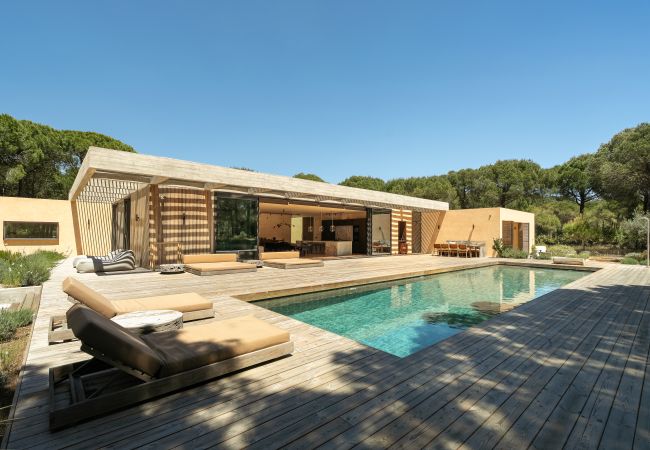 Villa in Carvalhal - The Olive Grove