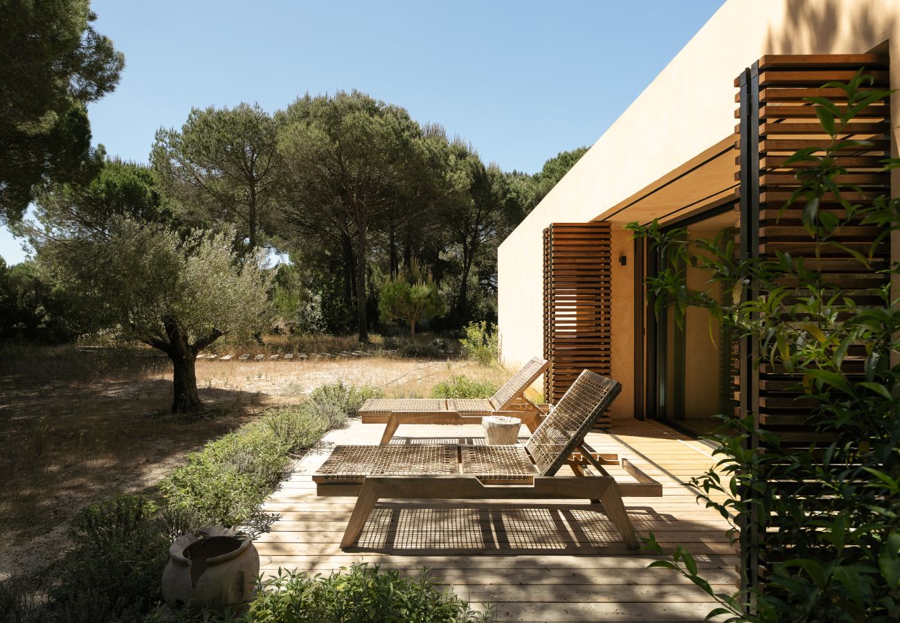 Villa in Carvalhal - The Olive Grove