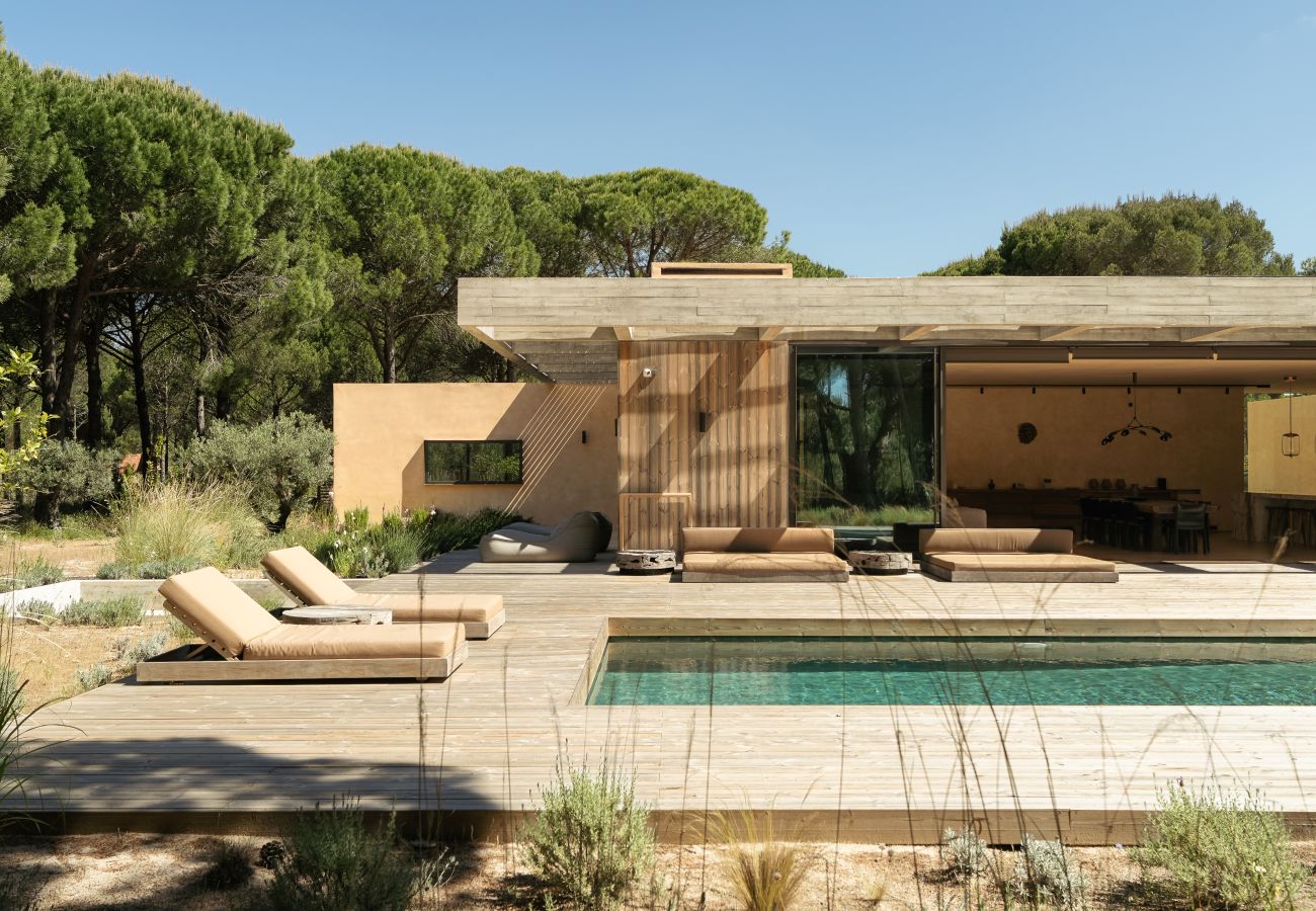 Villa in Carvalhal - The Olive Grove
