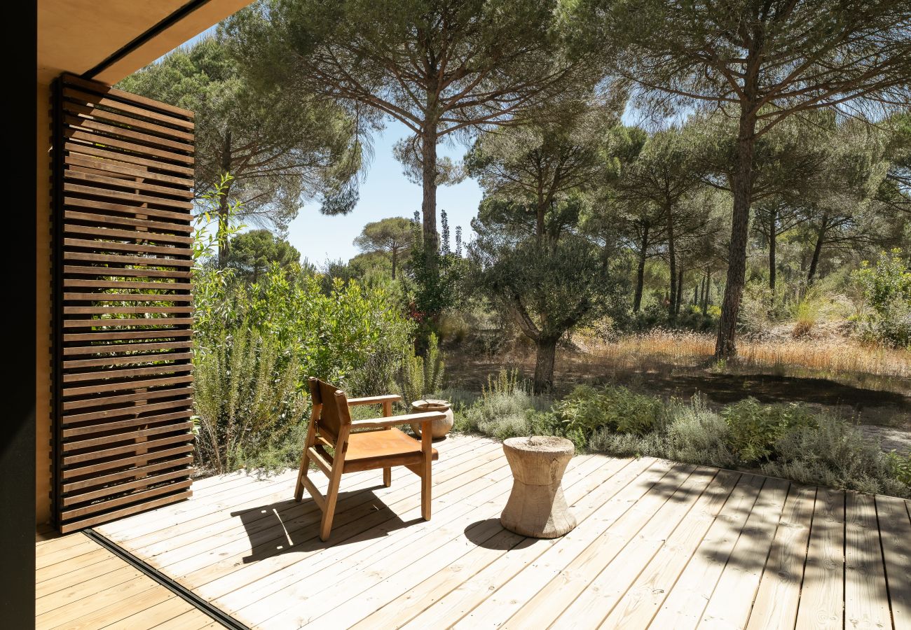 Villa in Carvalhal - The Olive Grove