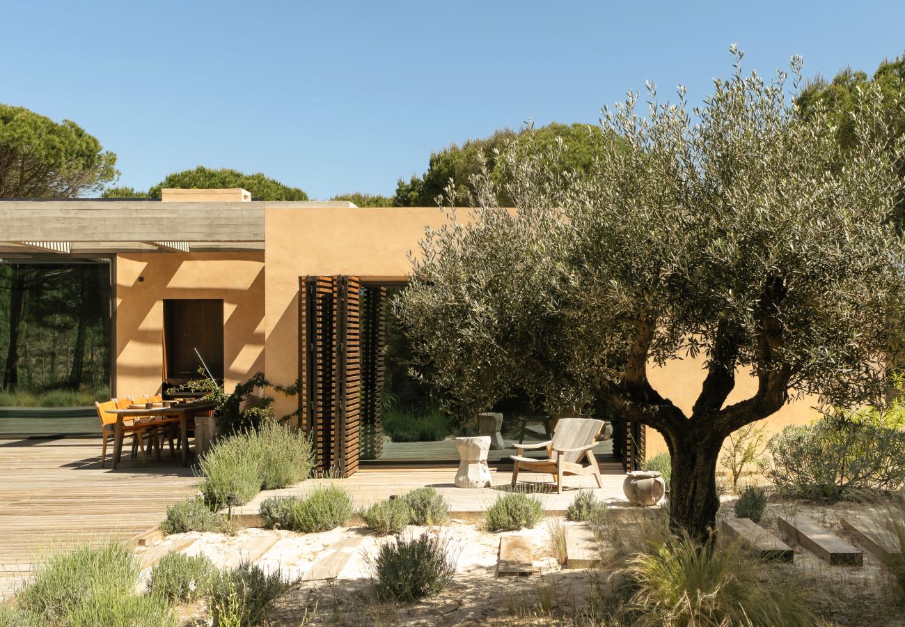 Villa in Carvalhal - The Olive Grove
