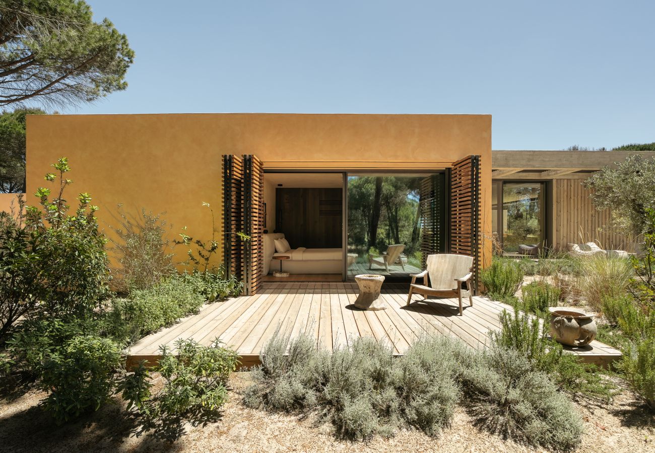 Villa in Carvalhal - The Olive Grove