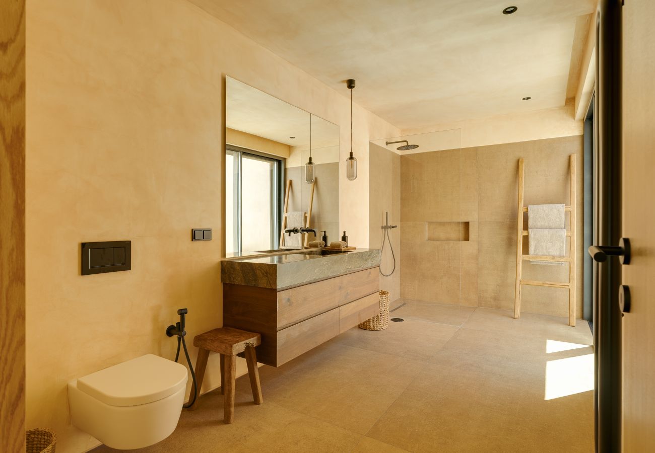Villa in Carvalhal - The Olive Grove
